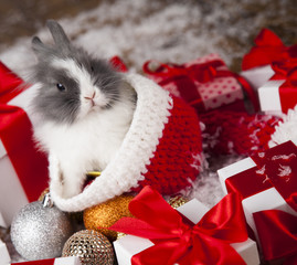 Funny bunny and Christmas background with winter decoration