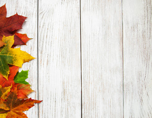 Colorful autumn leaves