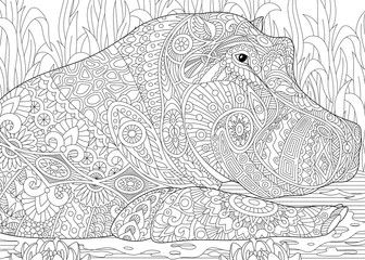 Stylized hippopotamus (hippo) swimming among water lilies (lotus flowers) and pond algae. Freehand sketch for adult anti stress coloring book page with doodle and zentangle elements.