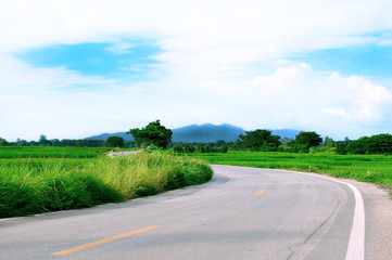 landscape rice field background