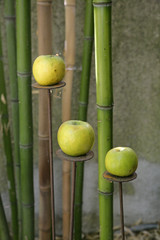 apples n bamboo
