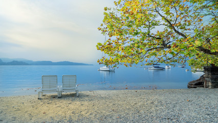 Herbstlich bunter Ahorn am Strand des Lago Maggiore 