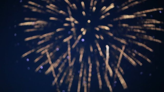 Beautiful fireworks in the sky.