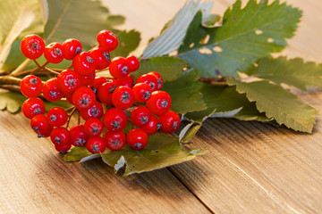 Rowan berries on the vintage wooden boards