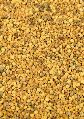 Bee pollen. Contains almost all of the nutrients required by the human body to thrive. Rich in vitamins,minerals,proteins,lipids,fatty acids,enzymes,carotenoids, bioflavonoids. Close up. 