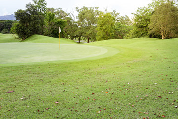 Beautiful Green grass on a golf field.