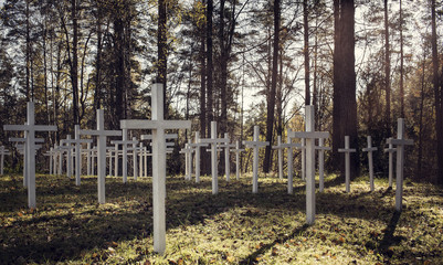 Old Finnish military cemetery in Lumivaara, Karelia