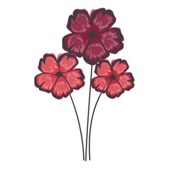 delicate flower drawing icon image vector illustration design 