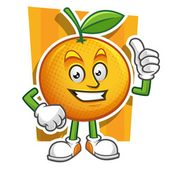 Thumb up Orange mascot. Vector of orange character.
