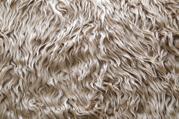 プードルファー