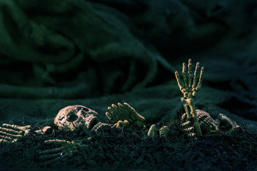 Skull and skeleton on ground dry soil dark background,concept ha