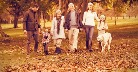 Smiling extended family walking together