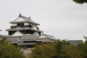 Matsuyama Castle Jokamachi Japan