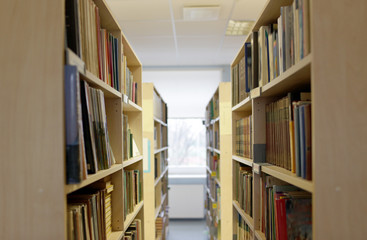 bookshelves with books at school library