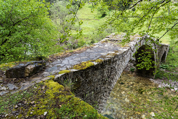 Traditional stone bridge in Thessalia, Greece © dinosmichail