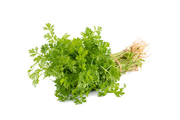 Bunch of fresh coriander leaves over white background.