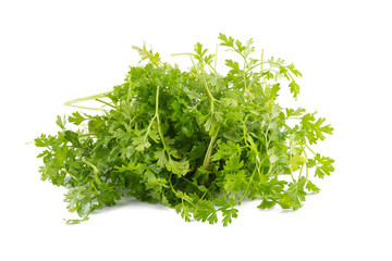 Bunch of fresh coriander leaves over white background.