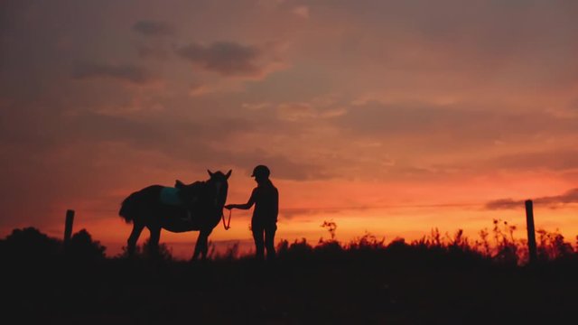 Woman Walks With His Horse at Sunset