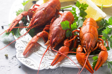 Boiled crayfish, lemon and parsley on a concrete background, sel