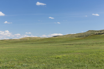 South Dakota Grassland