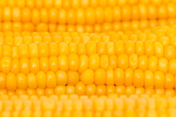 yellow boiled corn