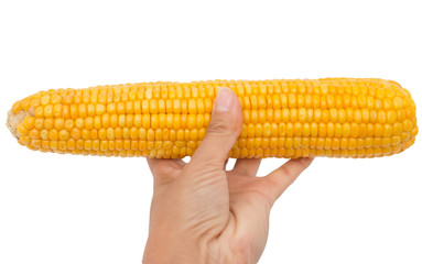 yellow boiled corn
