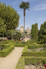Fototapeta premium Córdoba, Alcazar de los Reyes Católicos, (Burcht van de Kathol