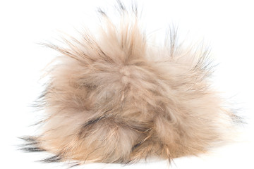 brown fur on a white background