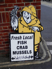Wetfish Shop sign