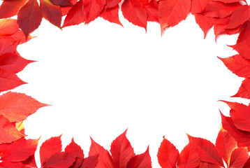 Red autumn leaves frame isolated on white background