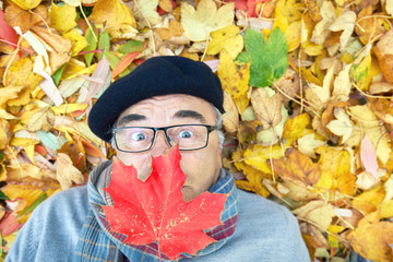 Senior liegt auf bunten Blättern im Park, Freude im Herbst
