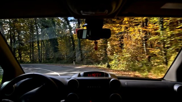 Beautiful orange forest road driving from inside car vehicle

