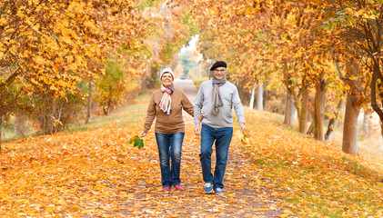 Spaziergang durch die bunte Herbstallee, Senioren laufen im Park