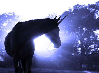 Image of a magical unicorn against hazy sunrise with sun rays in blue tone