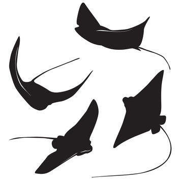 Stingray Vector Silhouette