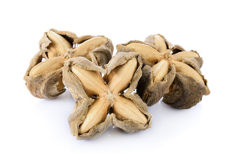 Sacha Inchi on white background, fresh capsule seeds fruit of sa