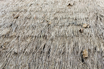 Thatch roof pattern on the tribal local house in northern part o