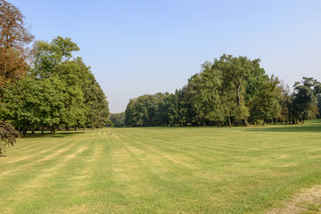 Fototapeta na wymiar glade in Villa Reale park, Monza, Italy