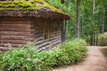 Russian forest with old wooden house