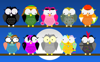 Young subcultures owls watch a grey one.