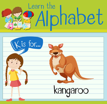 Flashcard alphabet K is for kangaroo