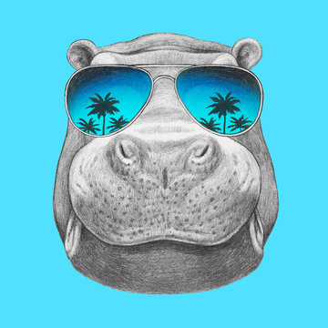 Portrait of Hippo with mirror sunglasses. Hand drawn illustration.