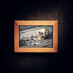 Halloween decoration with skull in wooden photo frame over grunge background