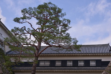 Fototapeta na wymiar Spot Kochi Castle Japan