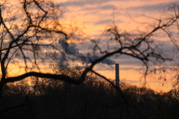 Company pipe in the branches of an autumn park at sunrise