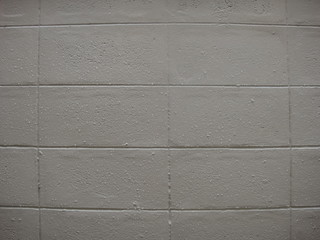 Wall