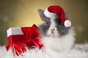 Holiday Christmas bunny in Santa hat on gift box background