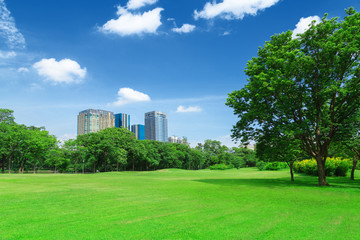 In city parks, lawns