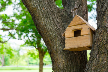 House of the birds in the trees.