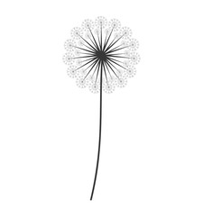 dandelion seed decoration icon vector illustration design
